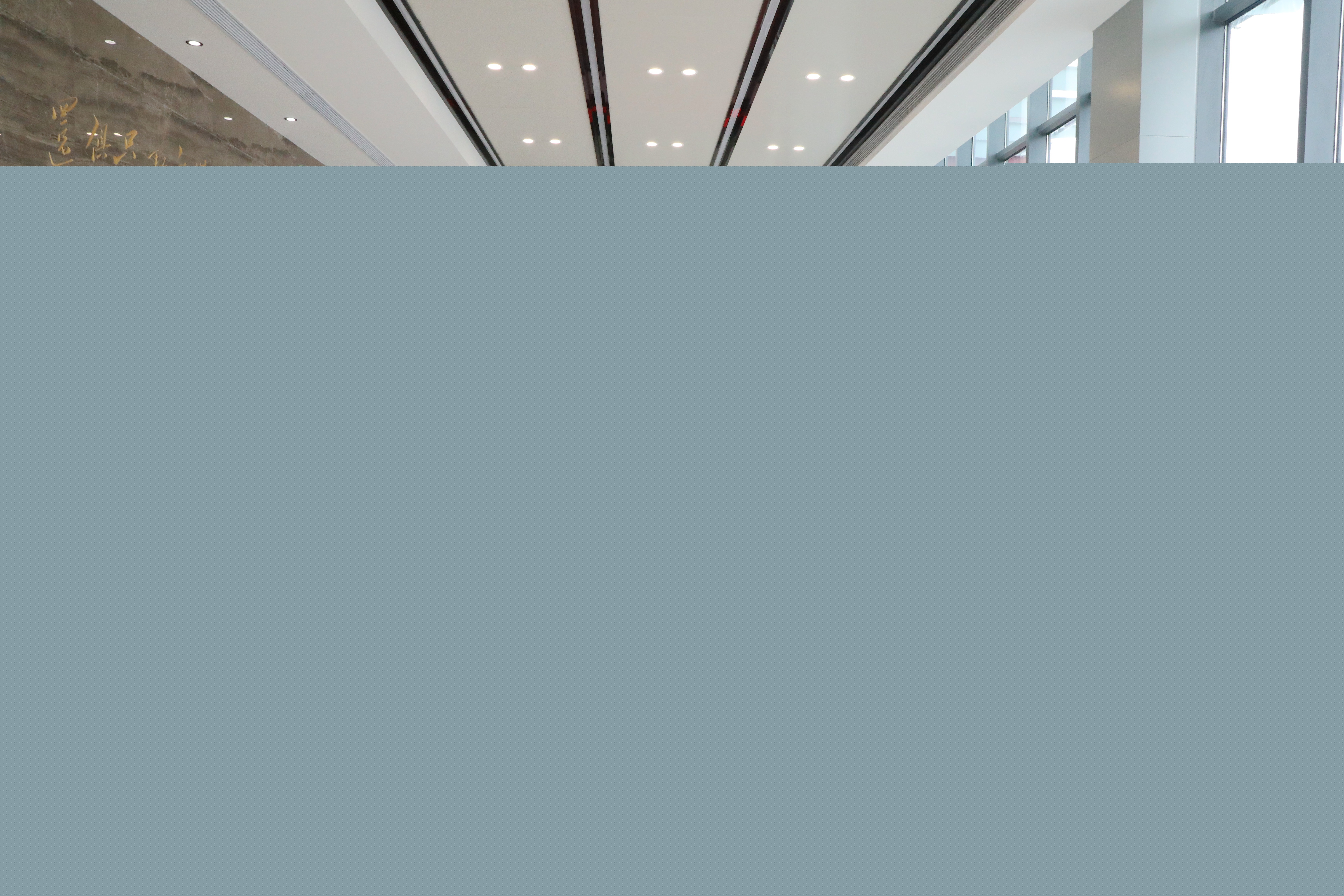 王其東調研走訪蘇州中億豐控股集...